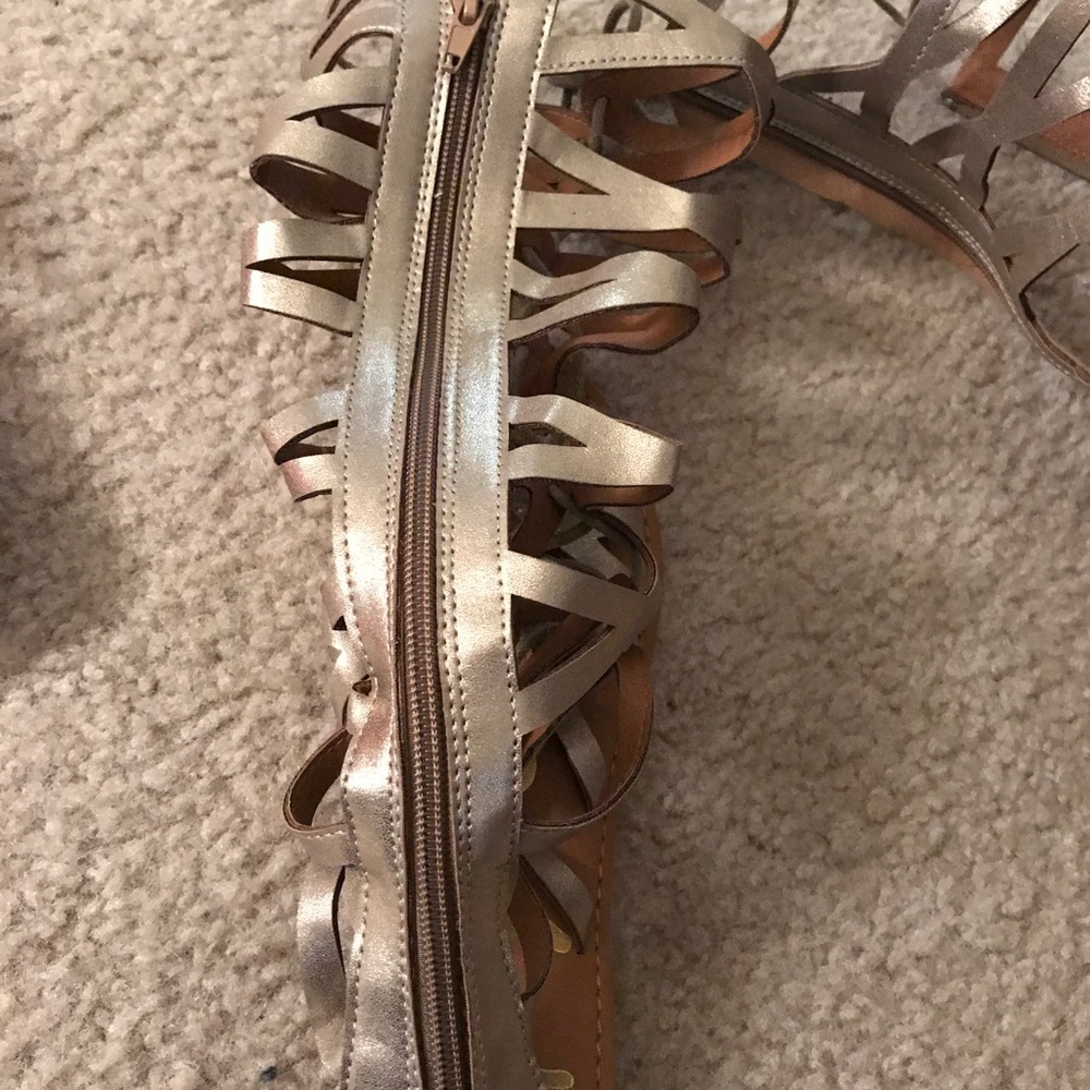 Gladiators - image 2